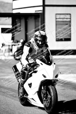 media/Mar-25-2024-Moto Forza (Mon) [[8d4319bd68]]/1-Around the Pits/